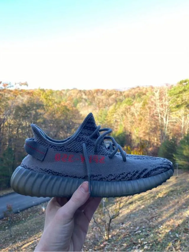 Adidas yeezy boost 350 v2 beluga 2.0