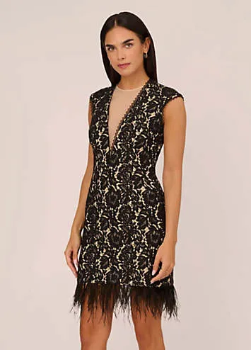 Adrianna by Adrianna Papell Bonded Lace Cocktail Dress | Grattan