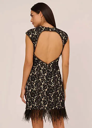 Adrianna by Adrianna Papell Bonded Lace Cocktail Dress | Grattan